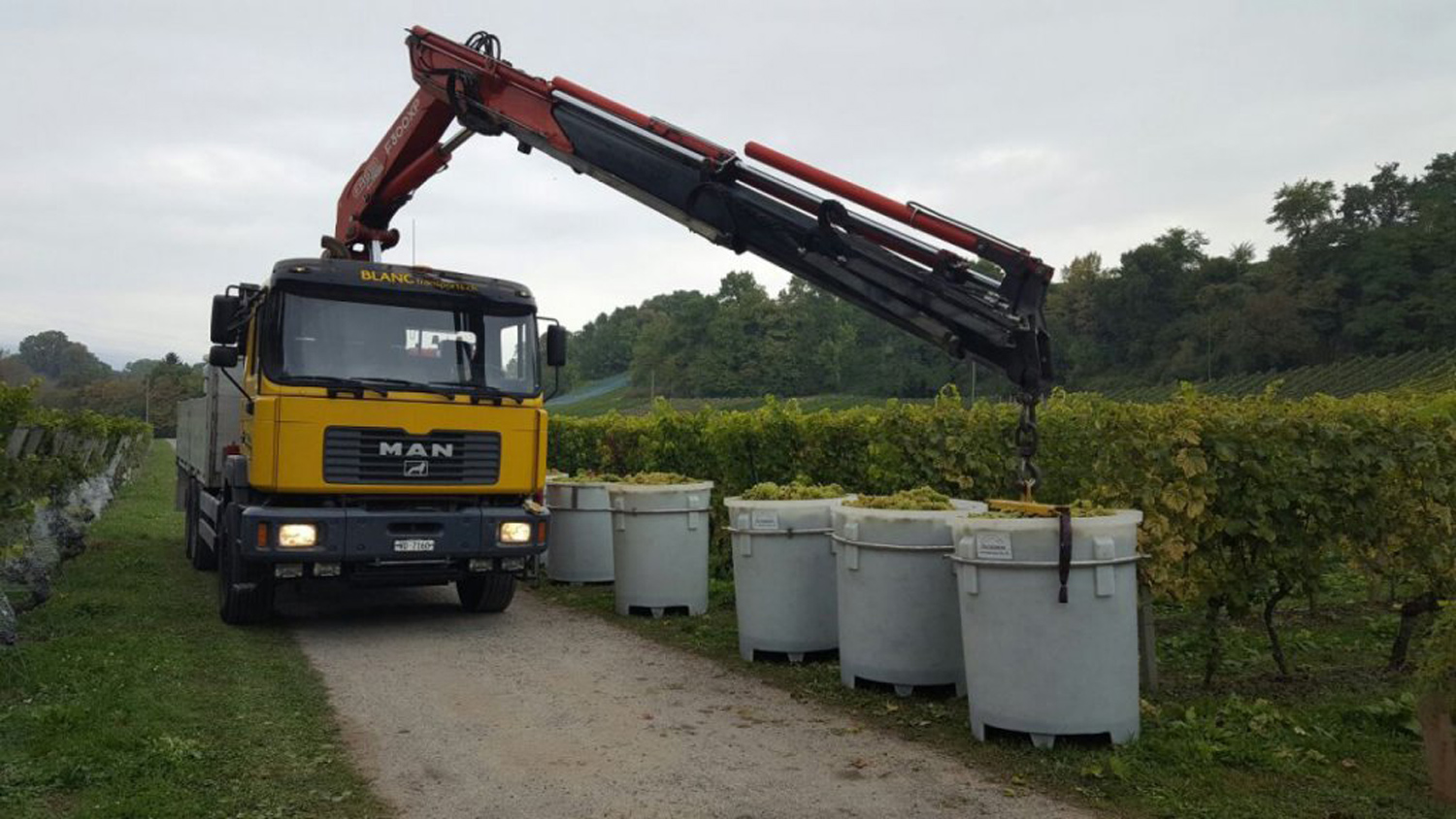Blanc Transports Transport de vin Camion grue raisin